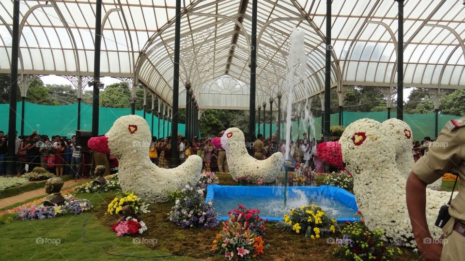 Flower ducks