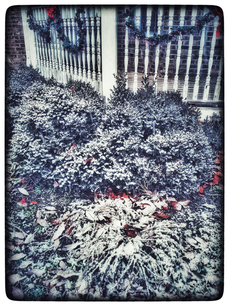 Christmas Eve snow 3