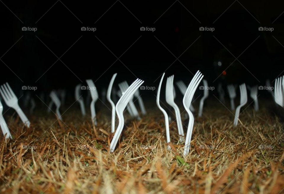 Prank-forking the yard