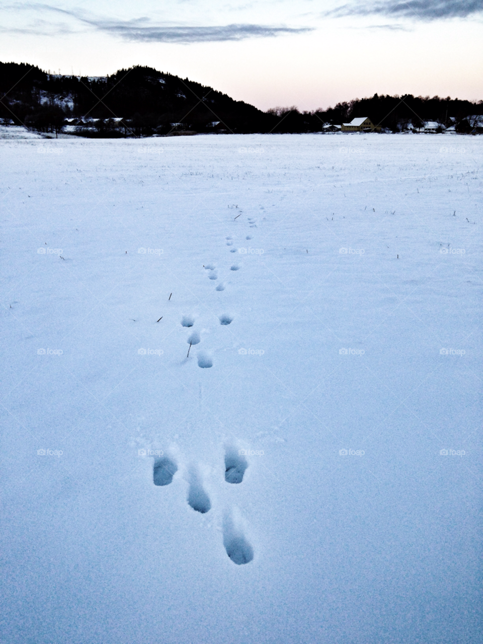 snow winter sky nature by maomspv
