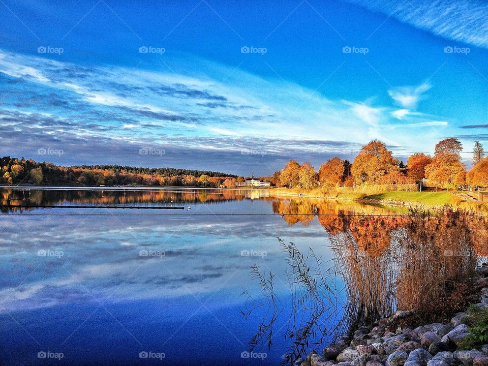 Autumn trees reflected on lake