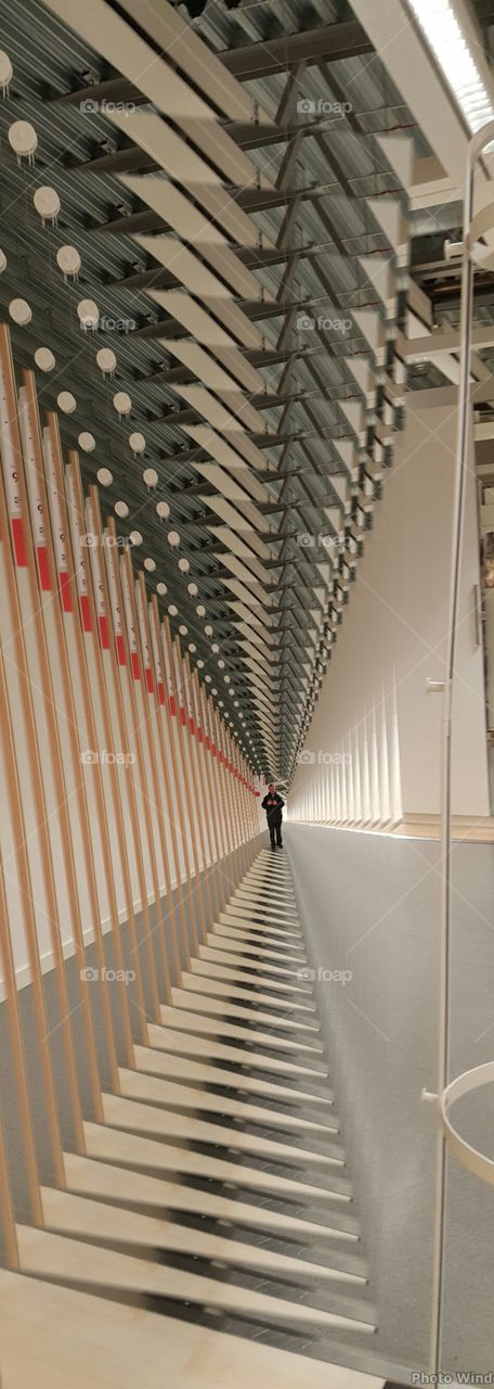 mirror mirror on the wall