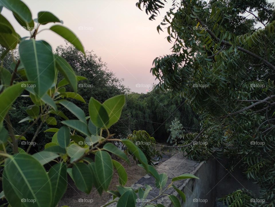 Last moment of Sunset