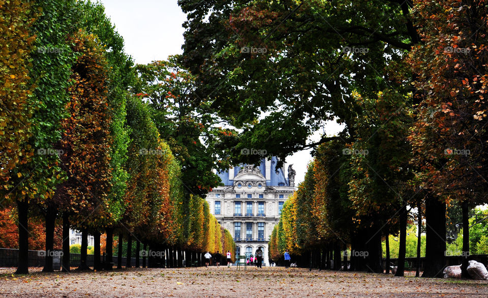 Fall in Paris 