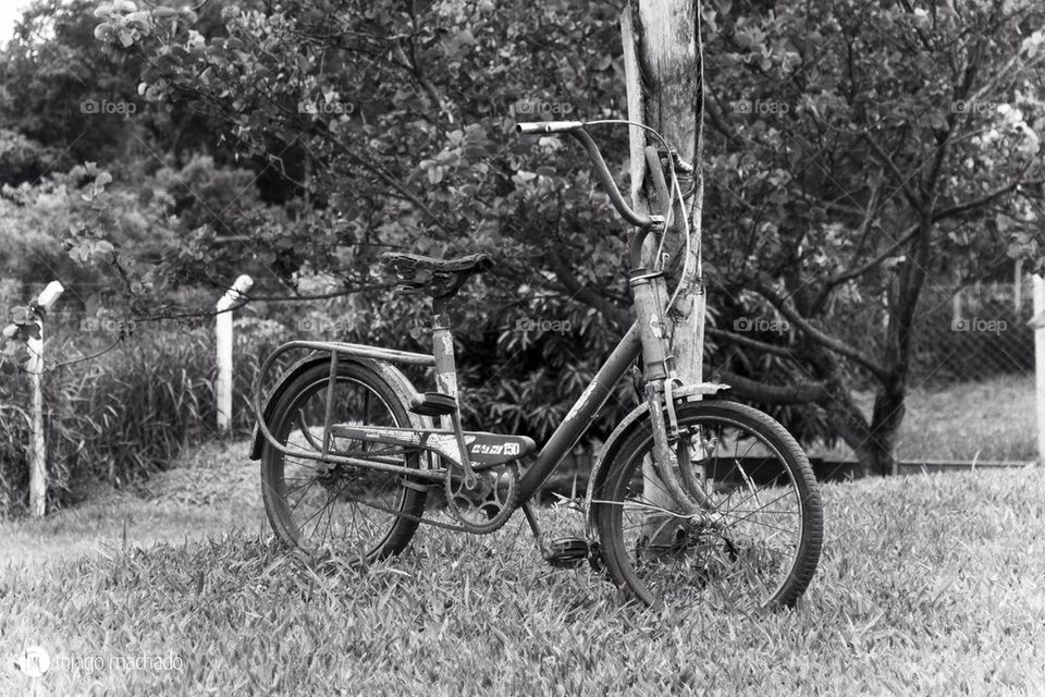 Old bike