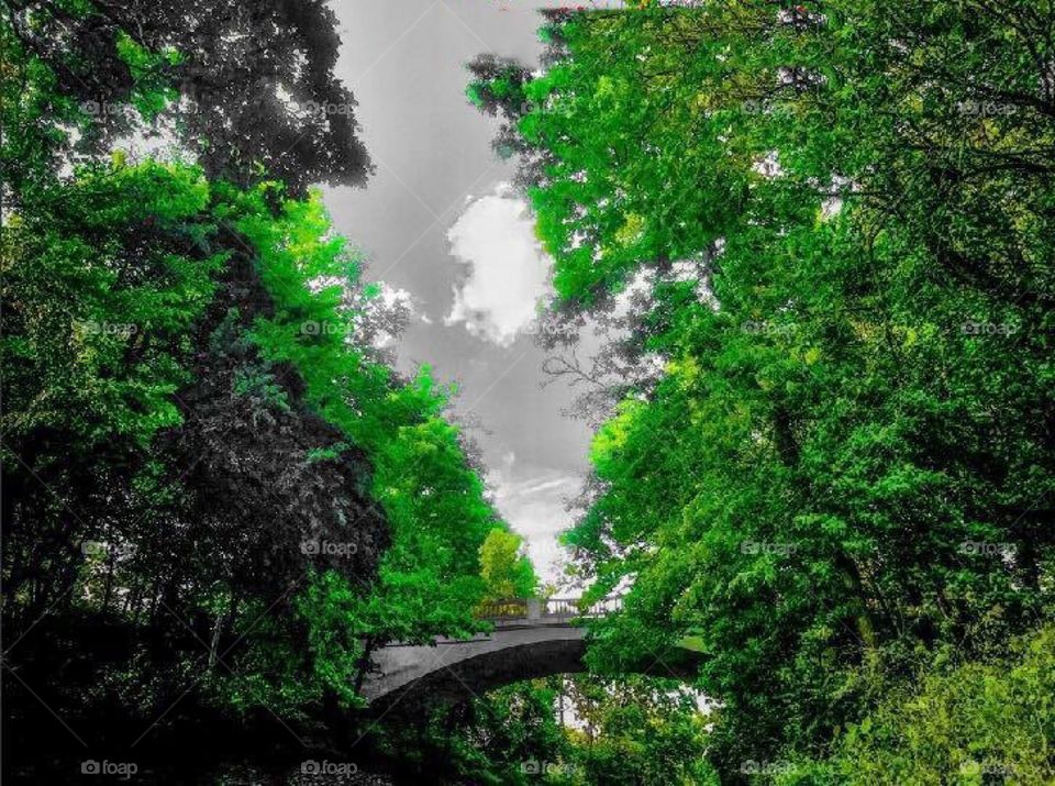 Strolling in the park 