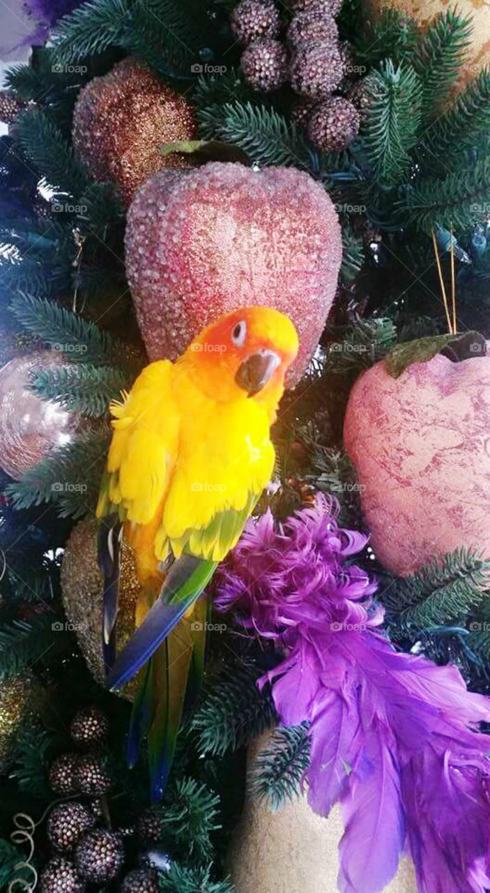 I'M VERY COMFORTABLE HERE! !