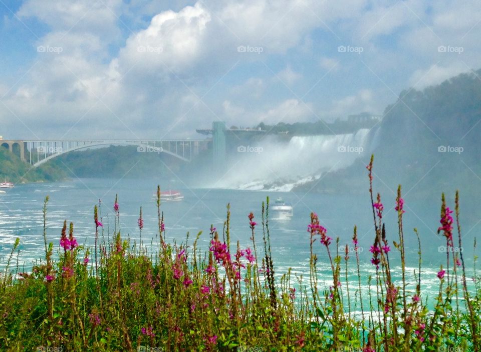 Rainbow Bridge Falls flowers