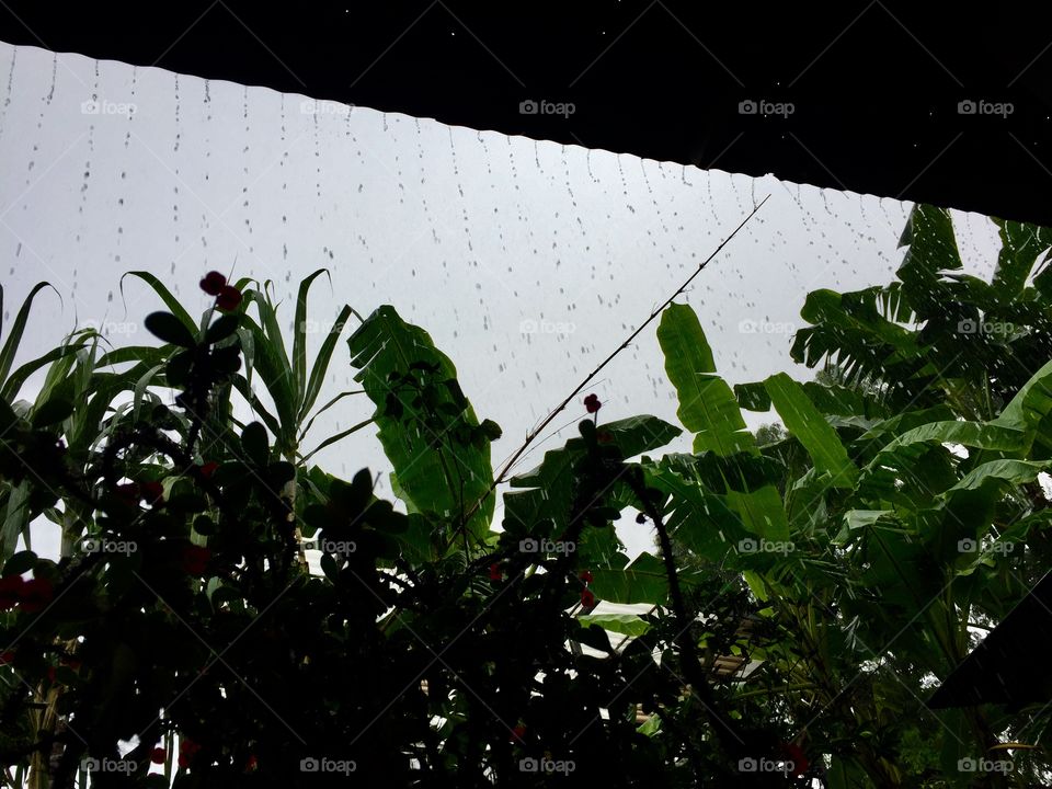 Rain makes everything beautiful.