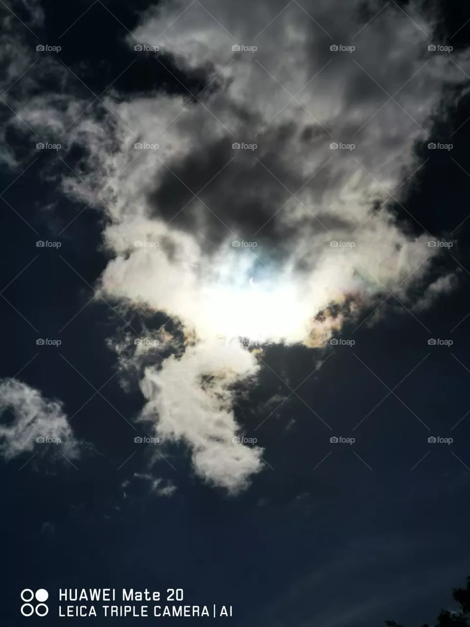 Moon Light
