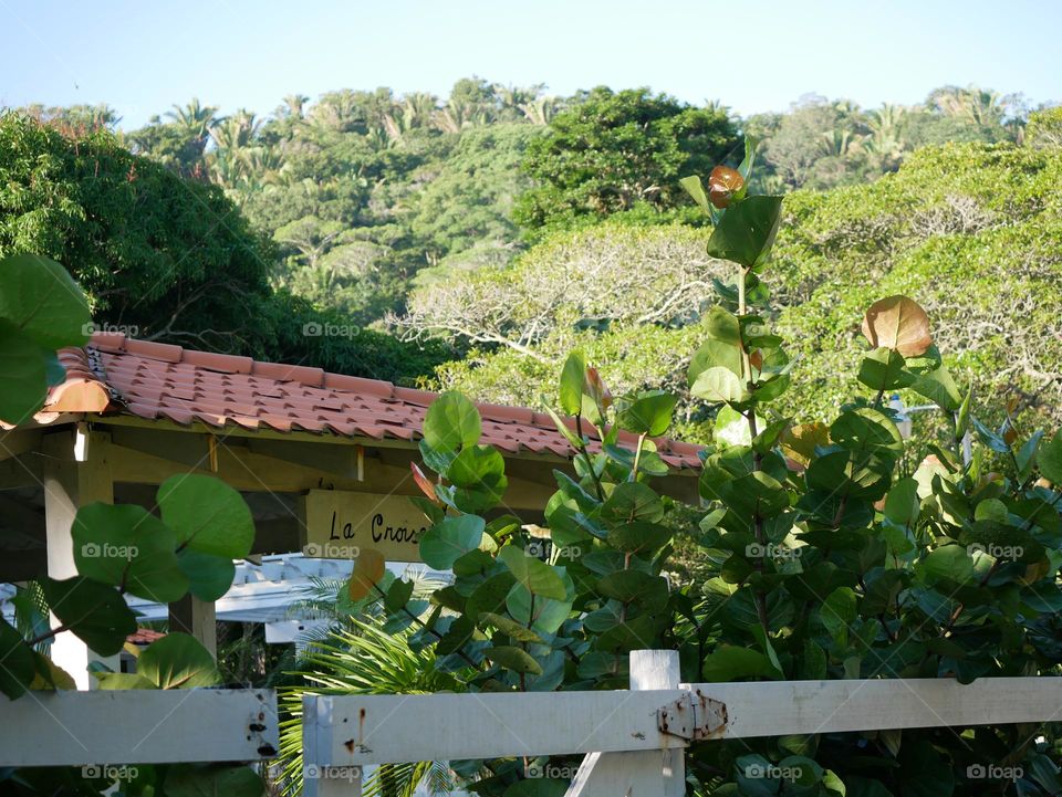 Playa escondida, La Ensenada Tela Honduras