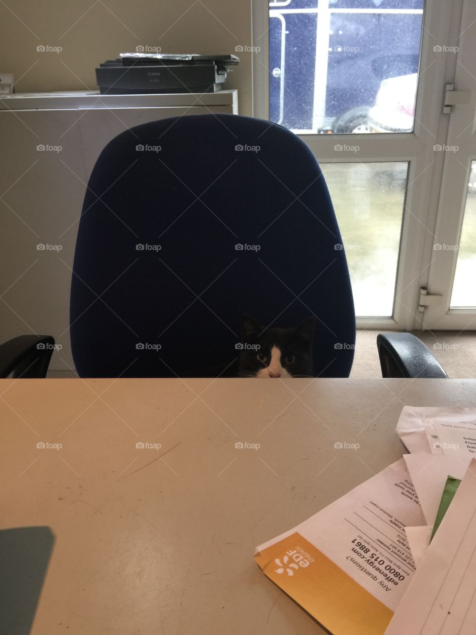Office Meeting 