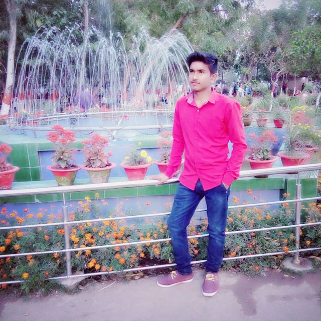 photo of park