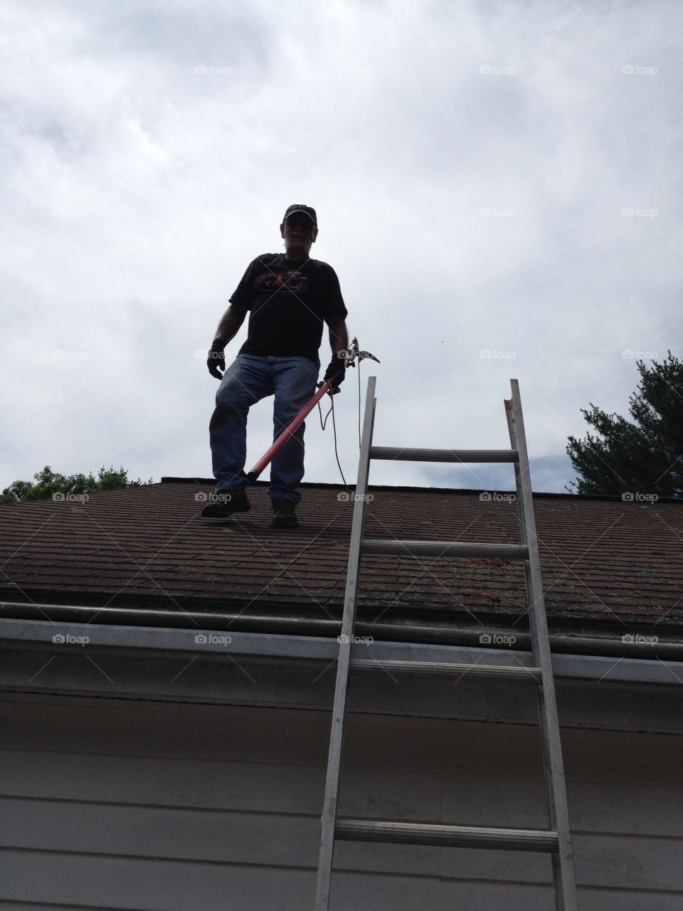 Tree Work Done! Workman in silhouette!