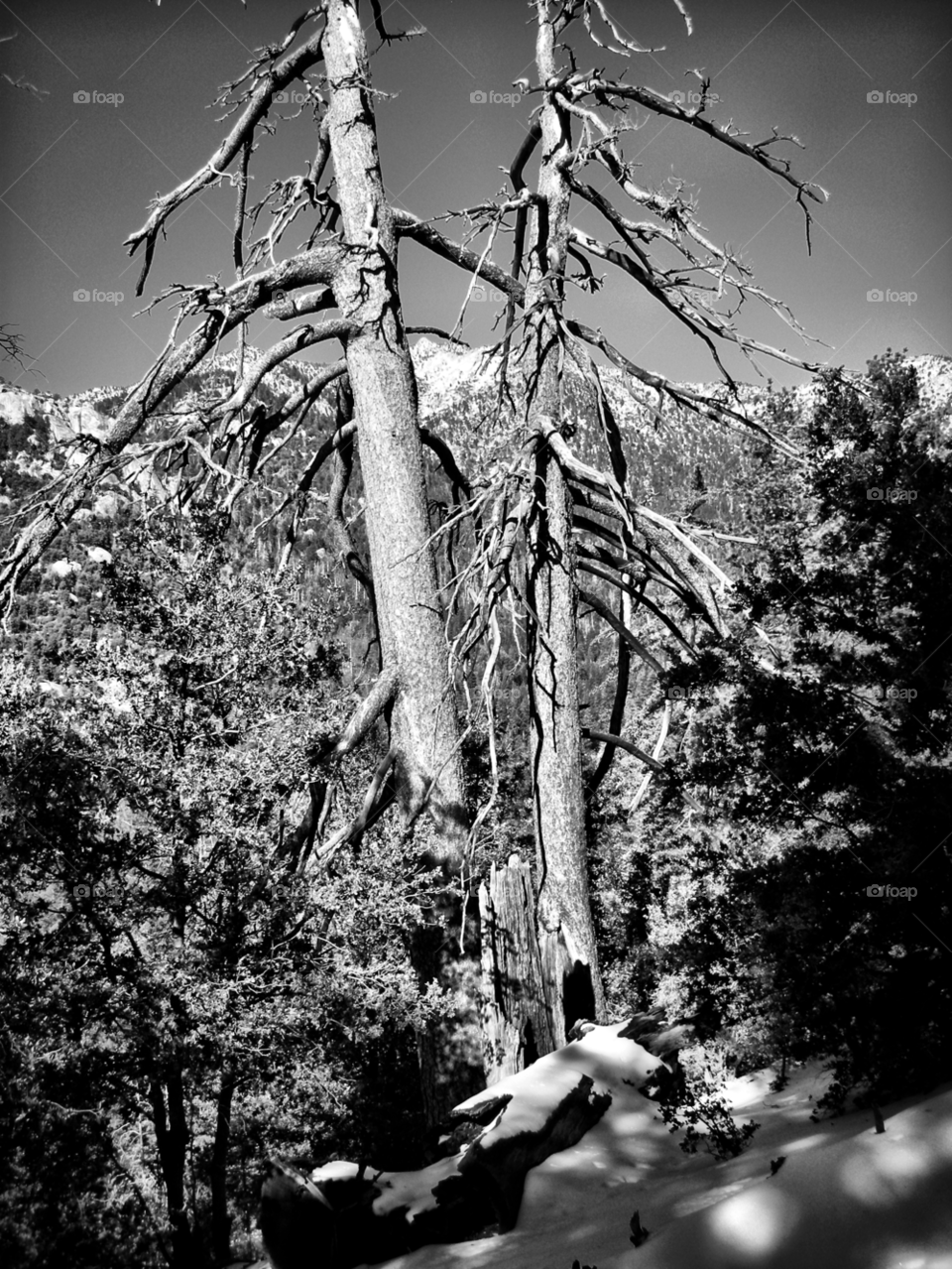 snow winter sky travel by emmanuelgr