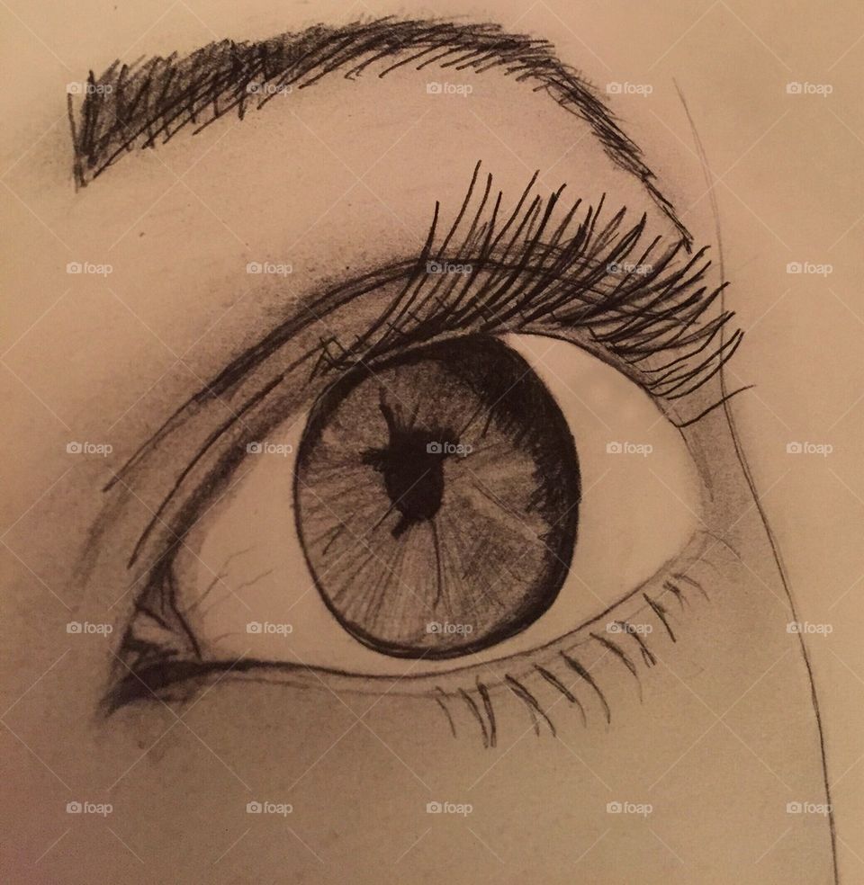 Eye study 2