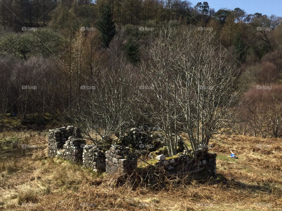 Remains of a house, The Highlands, Scotland