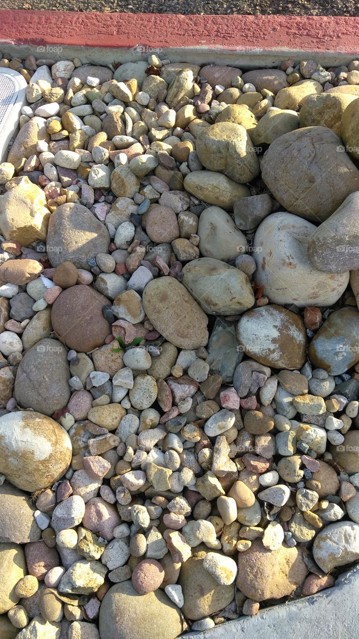 Rocks