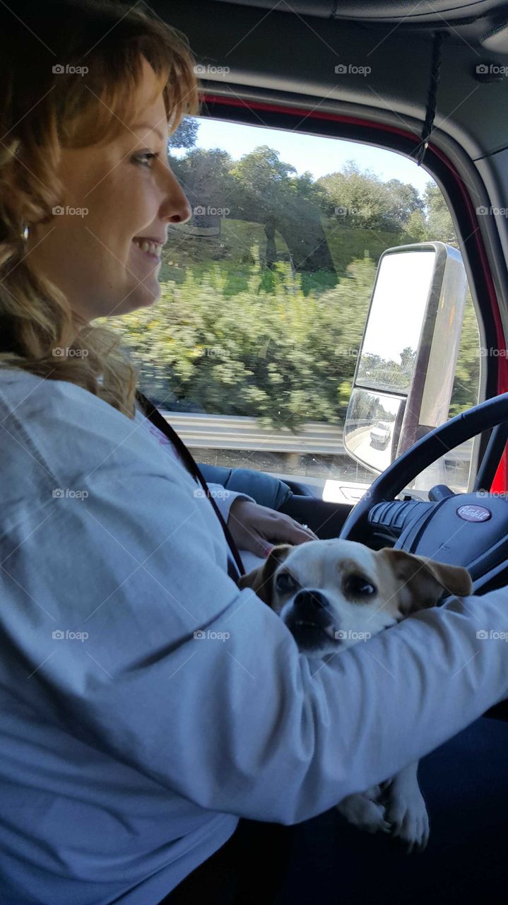 every day is an adventure as a trucking dog