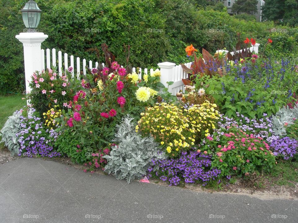 Cape Cod garden