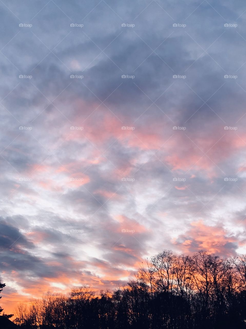 Sunsetting colorful sky tree tops 