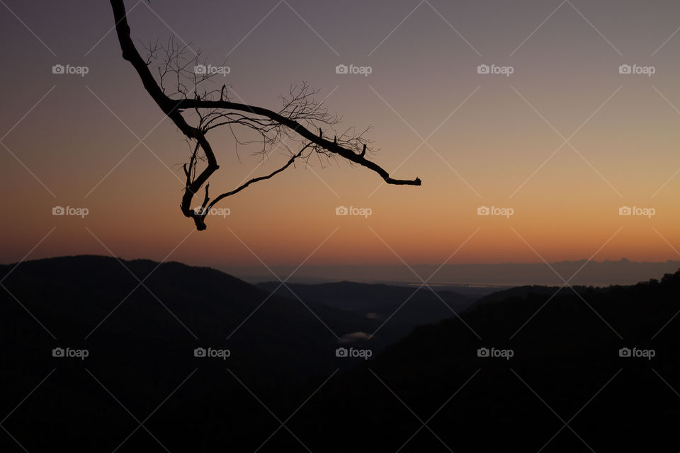 Purlingbrook lookout at Dawn