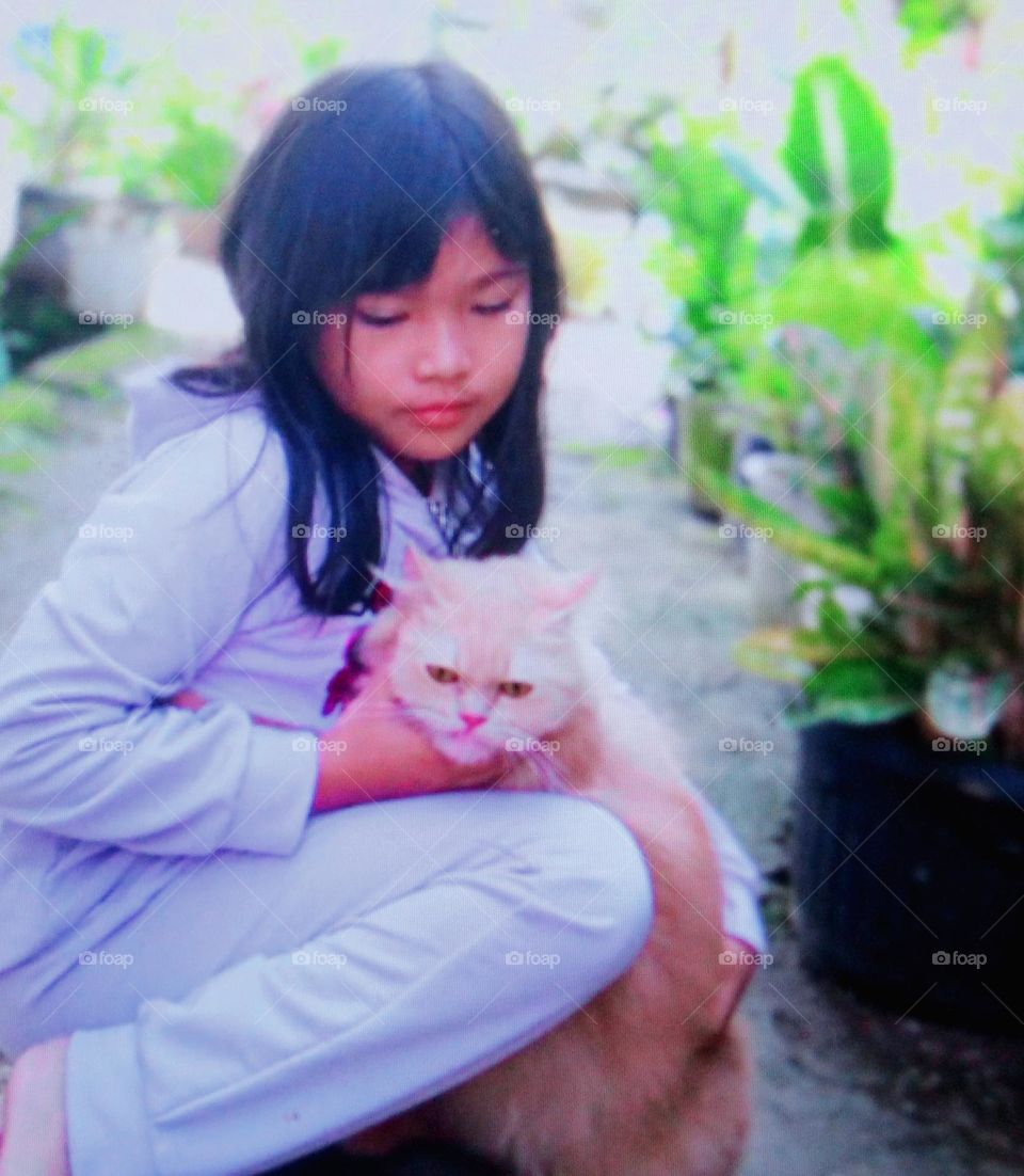 A cute girl who always pampers her pet cat happily plays with her pet cat, making the brown cat very spoiled