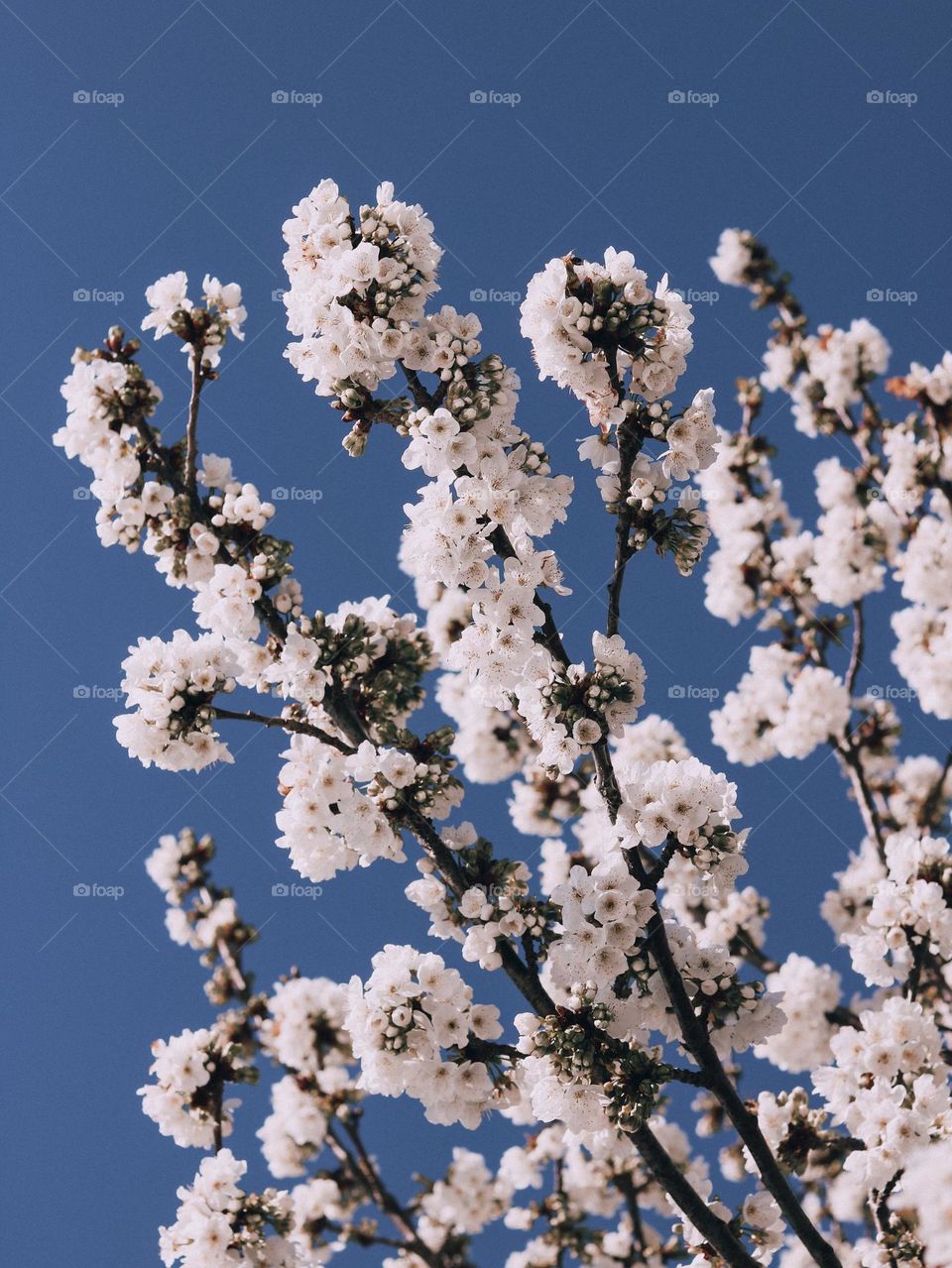 Dare to be different.  Each color in this photo will be experienced differently by each of us.  How beautiful life is.  Is it?