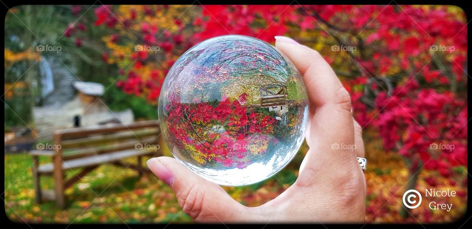 colour and different perspective