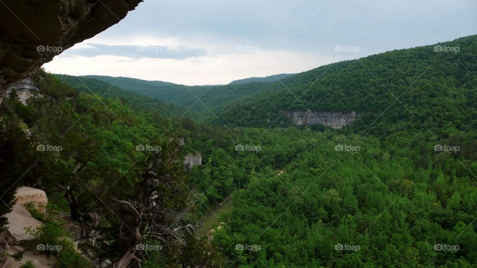 Overlooking the Buffalo River 