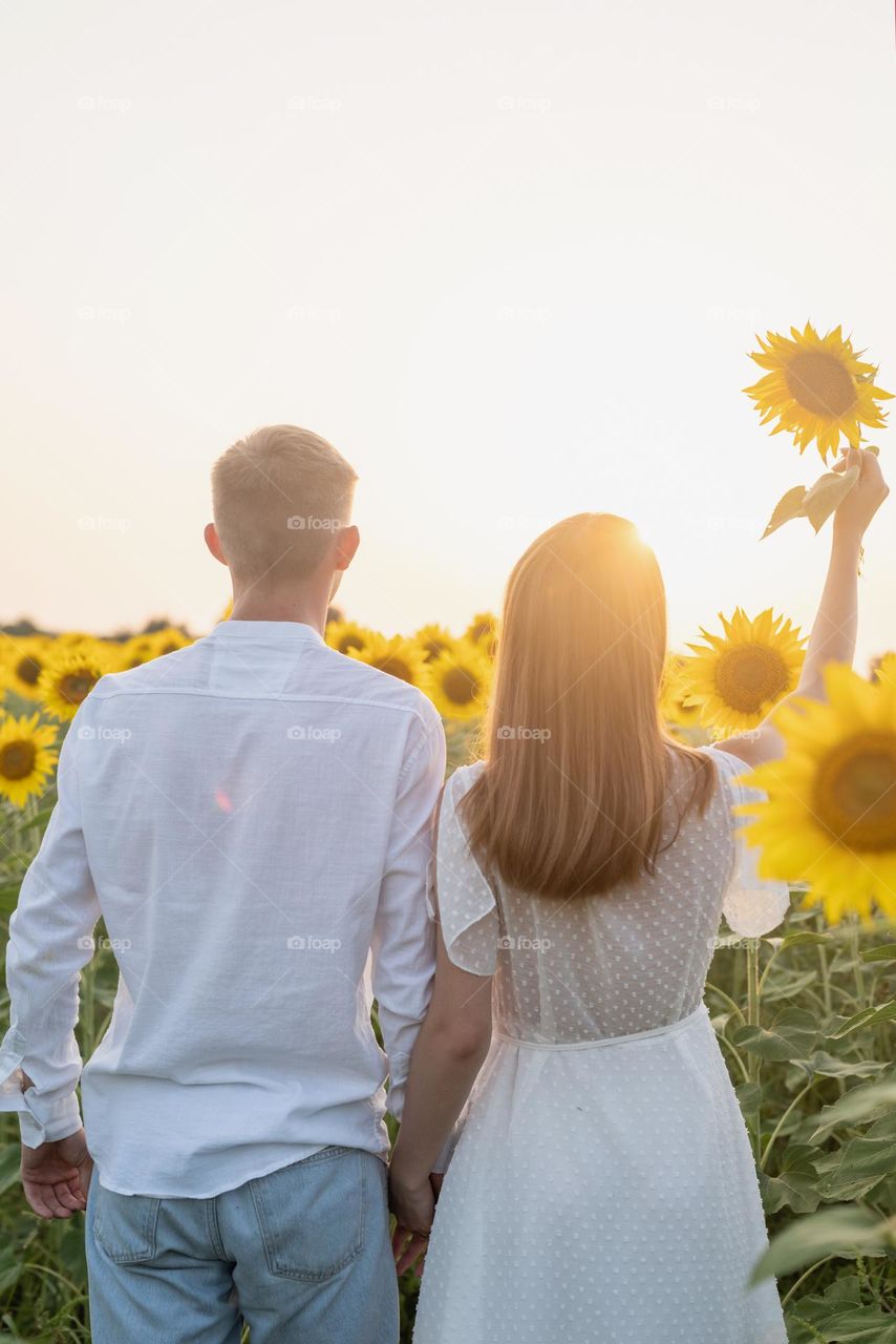 couple walking in sunflowers field