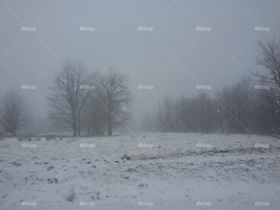 winter time landscape