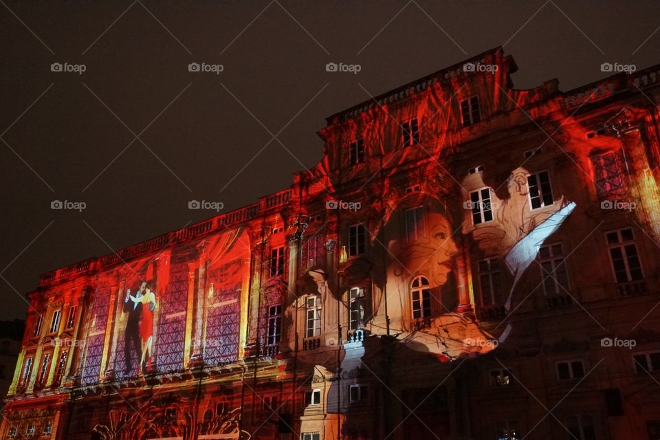 Fête des Lumières, Lyon 2014. Terre aux Lumières, projection sur le musée des Beaux-Arts.