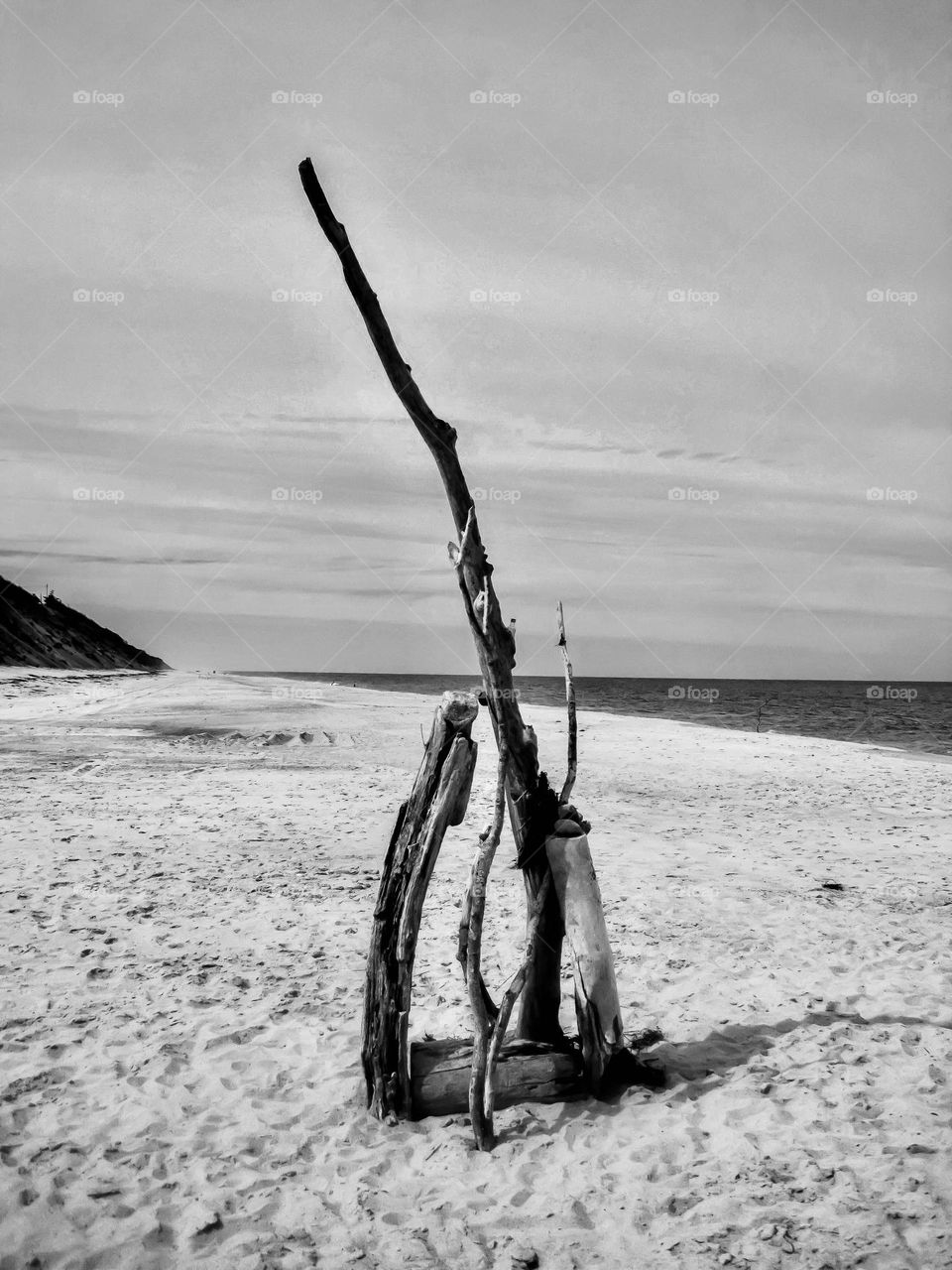 Driftwood beach art in black and white.