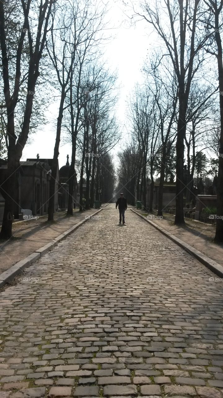 Neighborhood of the Dead. Man walking through Pete Lachaise Cemetary in Paris