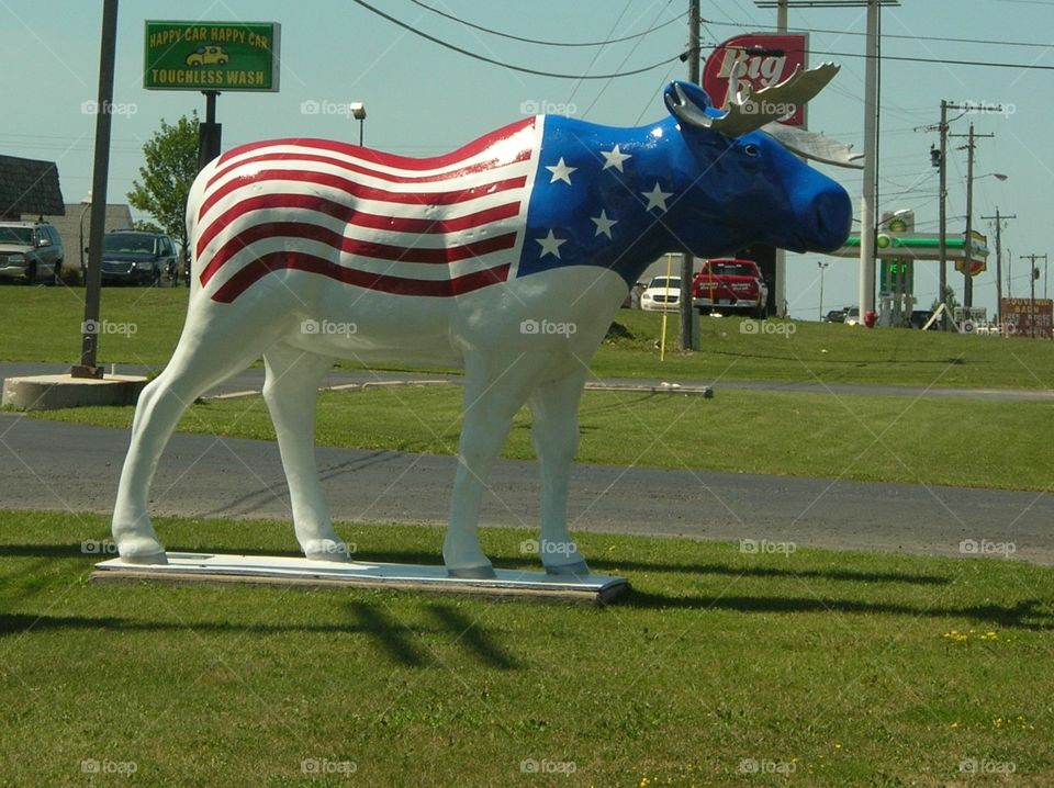 American Flag Moose. Moose flag statue photo taken in UP, Michigan.