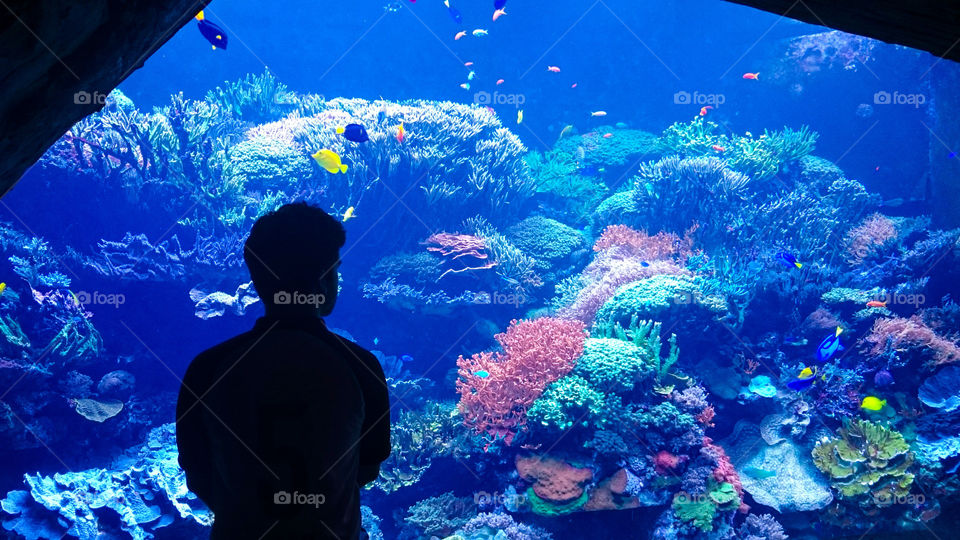 Man watching fish in aquarium