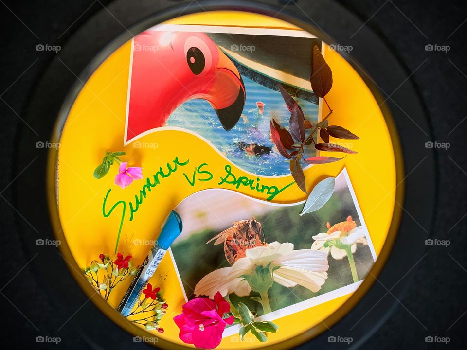 Summer VS Spring writings in cursive with blue dry erase marker with garden flowers on this display with printed photos of spring and summer cut on paper with bee and flowers and pool, young swimmer and pink flamingo floaty with yellow background.