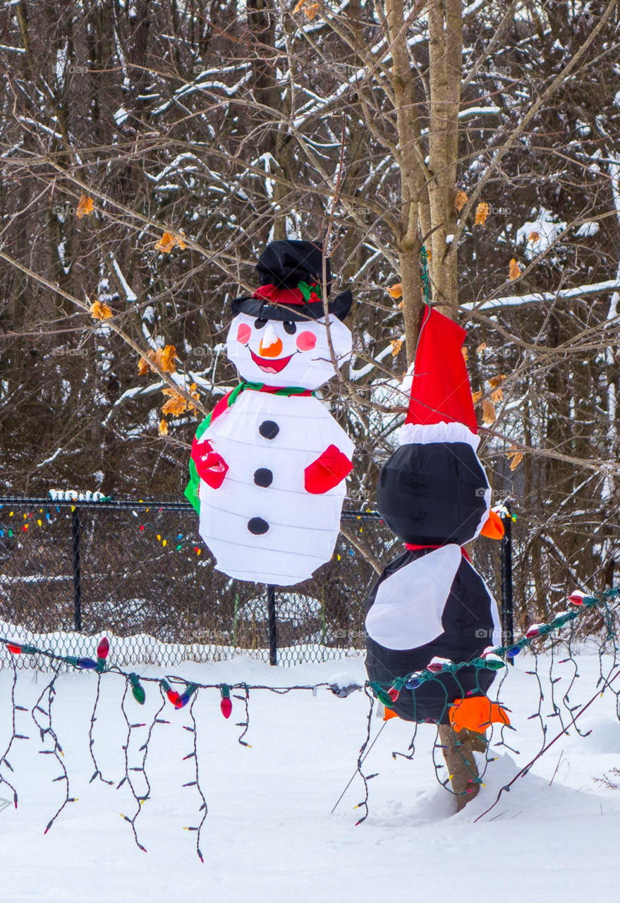 snow lights holidays camera shy penguin by delvec