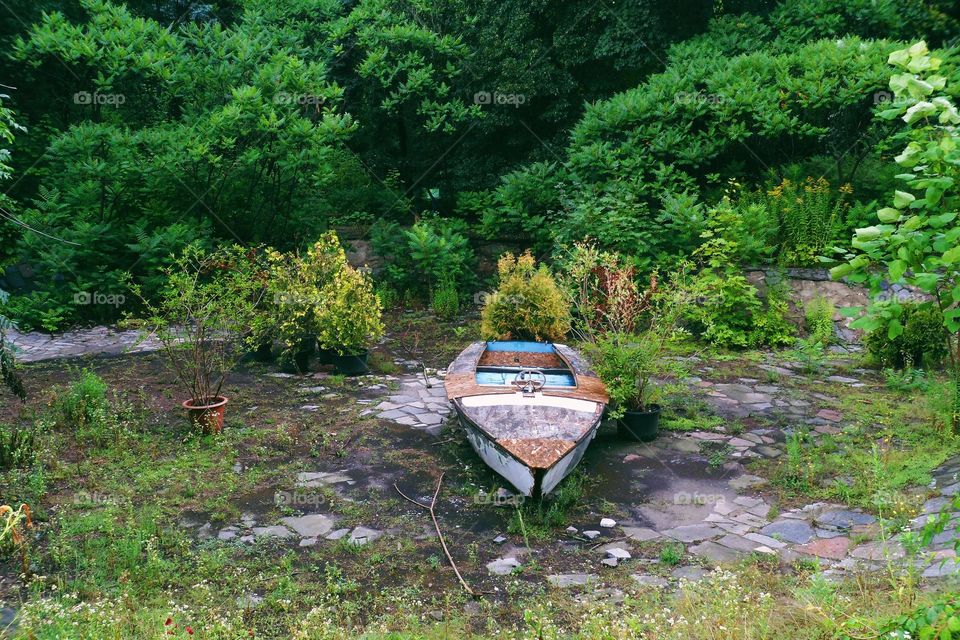 the boat ran aground