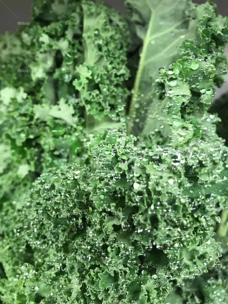 Water Droplets on Fresh Produce