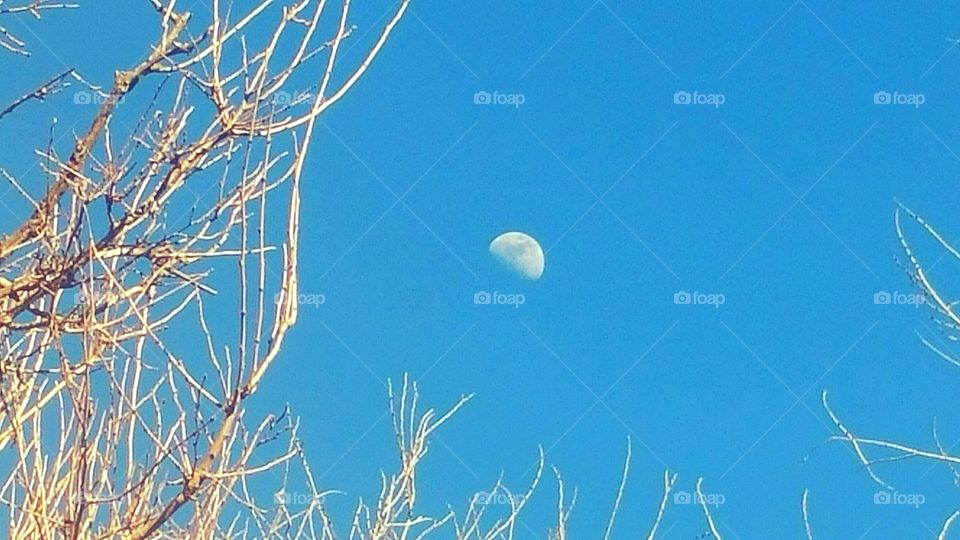 Moon in Afternoon