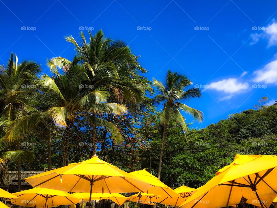 Palm trees and yellow umbrella at beach