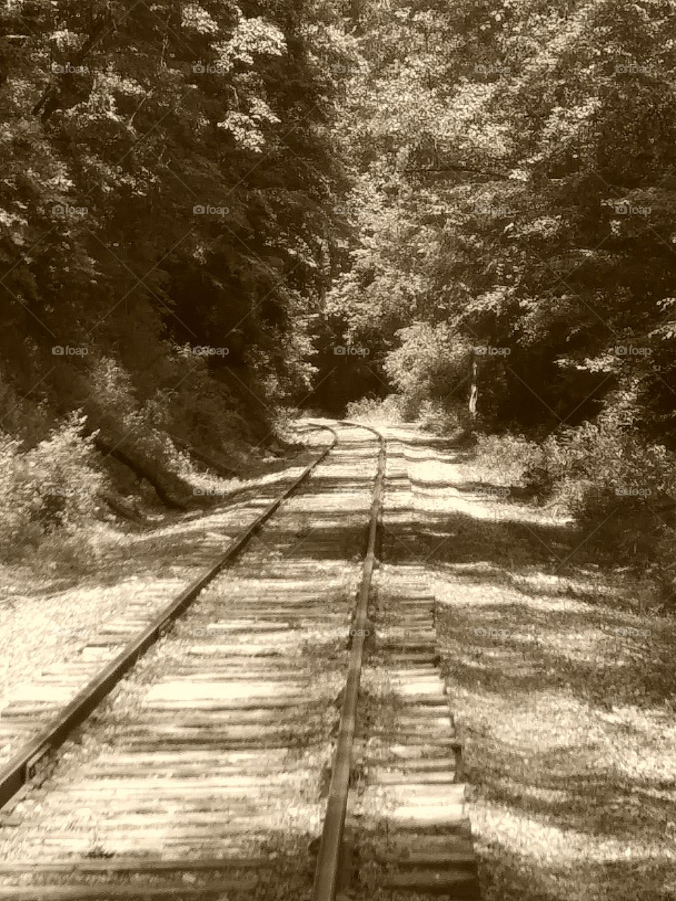 the tracks