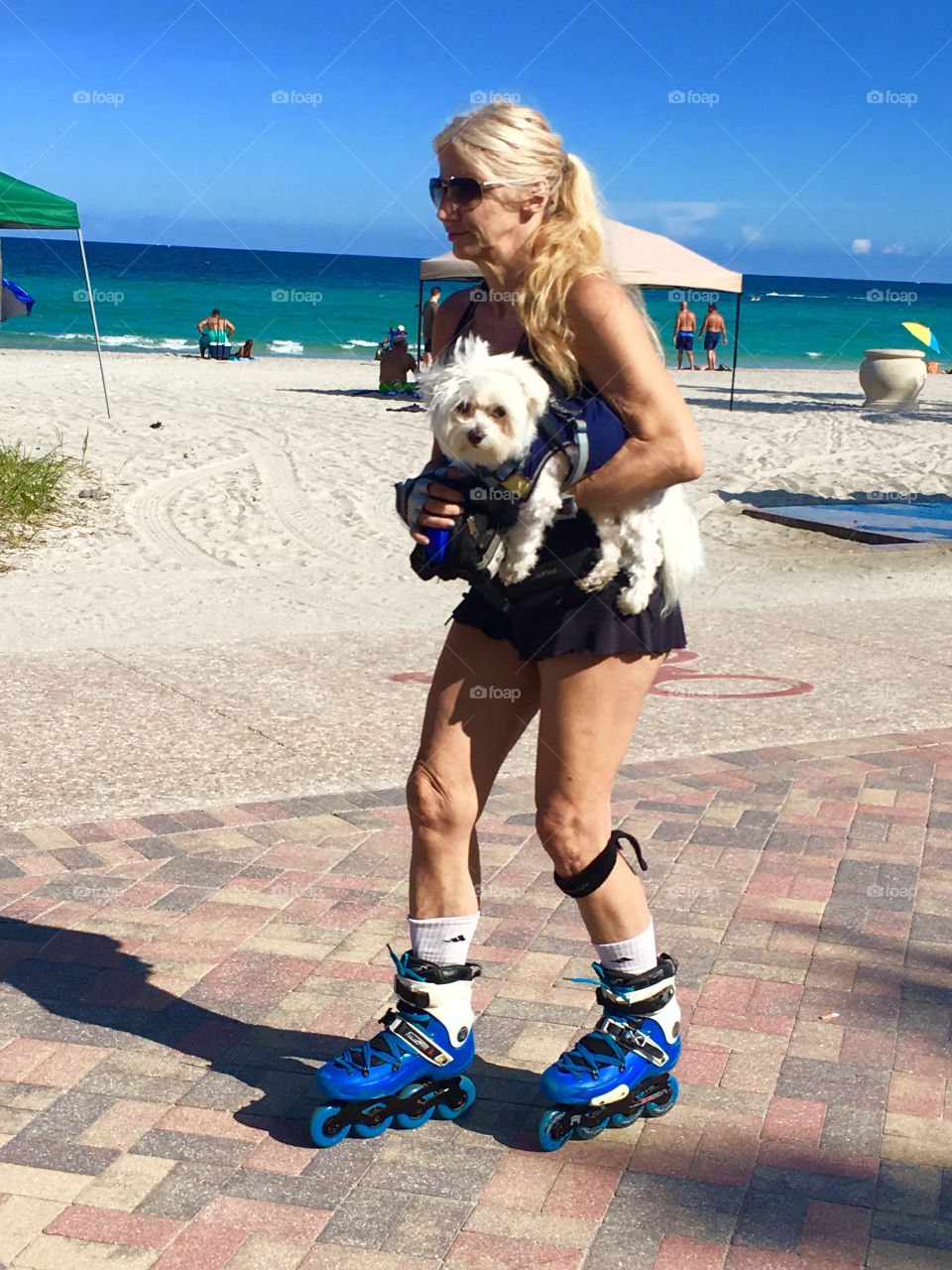 Rollerblading with a dog