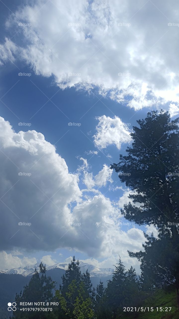 Beatiful  clouds in Bright blue sky in a forest area of District Shopian