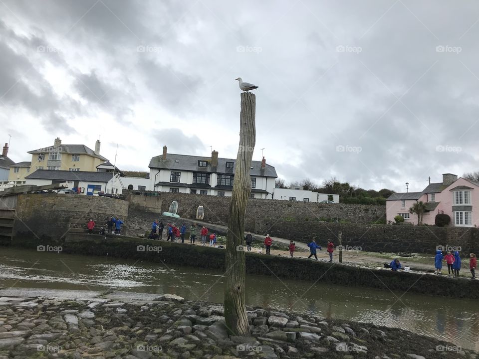 The seagull is in complete charge here and that’s how it should be haha.  Time for lights, camera, action.