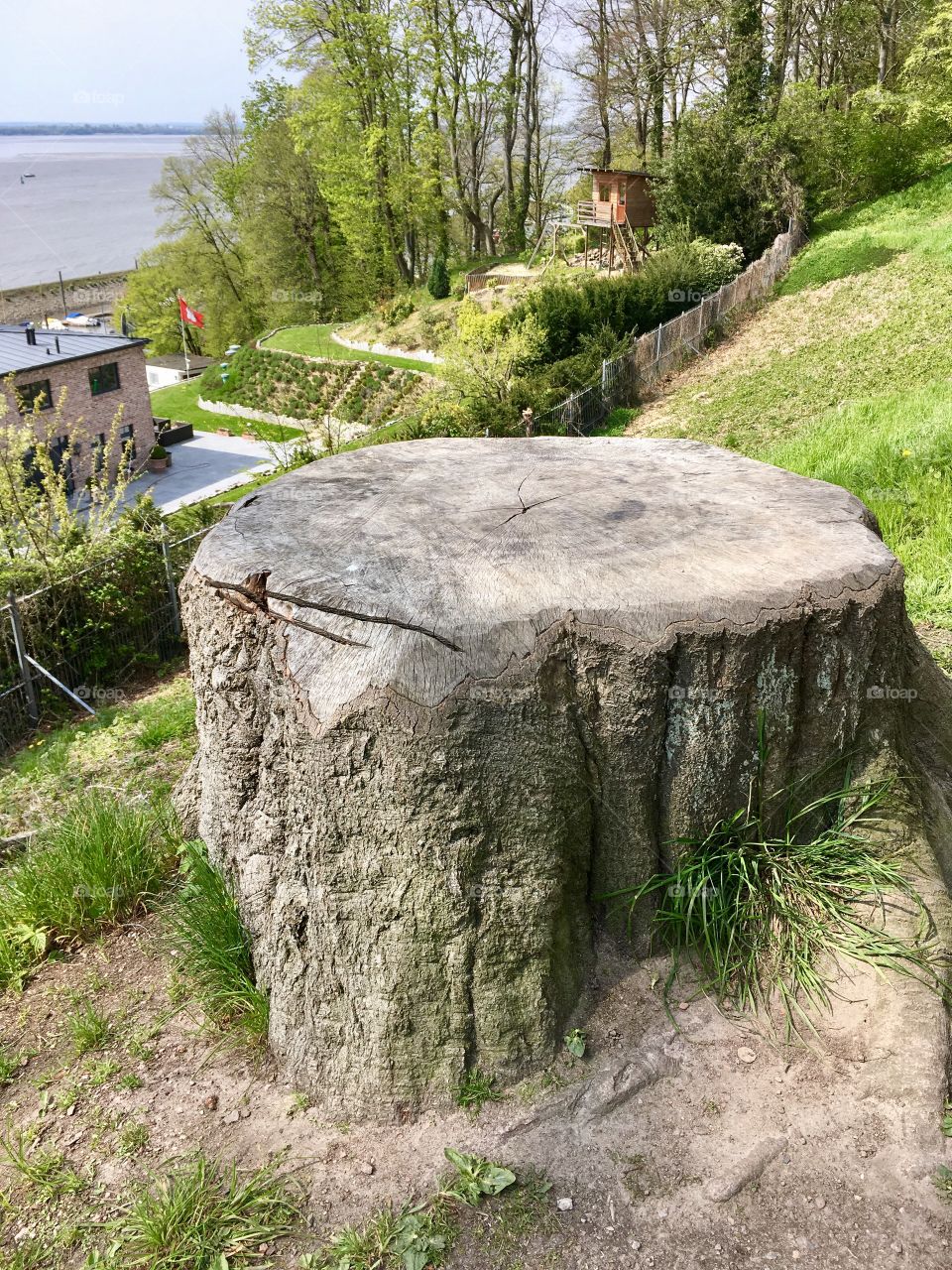 On the banks of the Elbe, Hamburg.A section of centuries of life