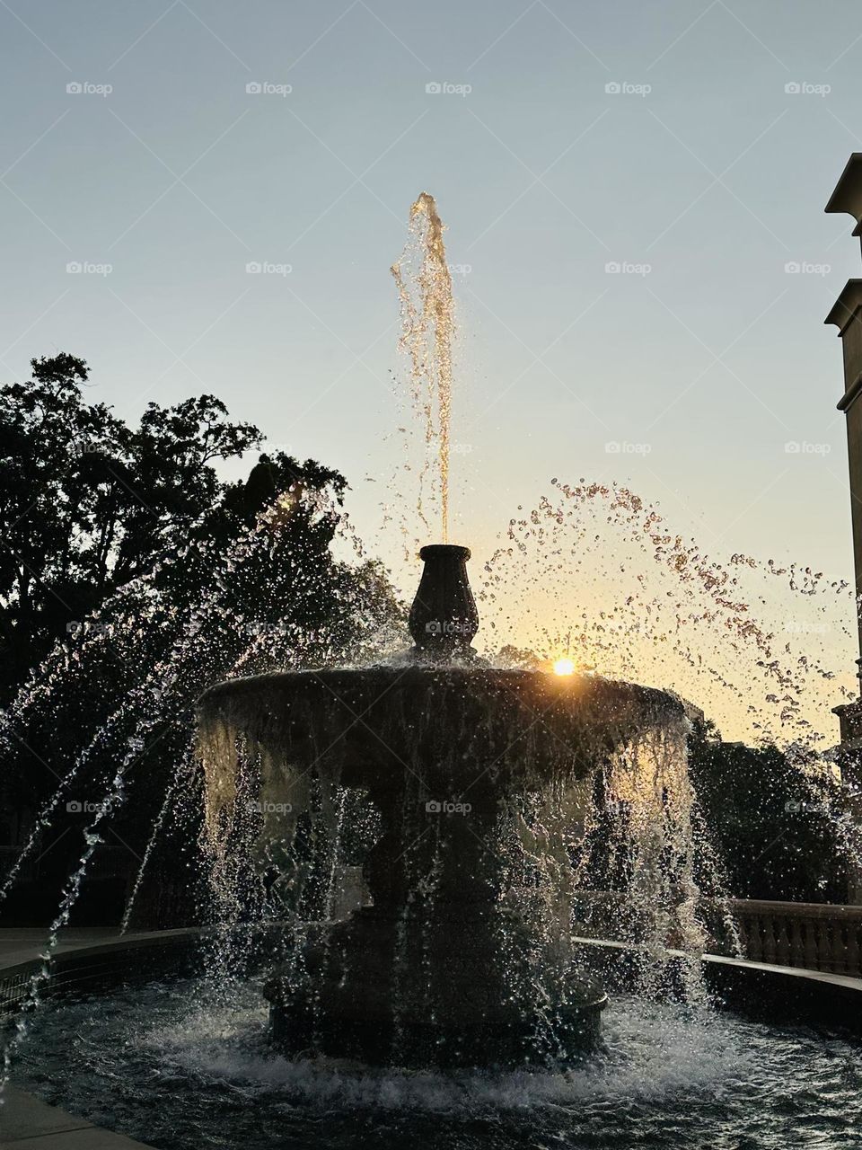 Urban Nature: Water - A sunset water fountain - A fountain is an ornamental feature in a pool or lake which consists of a long narrow stream of water that is forced up into the air by a pump.