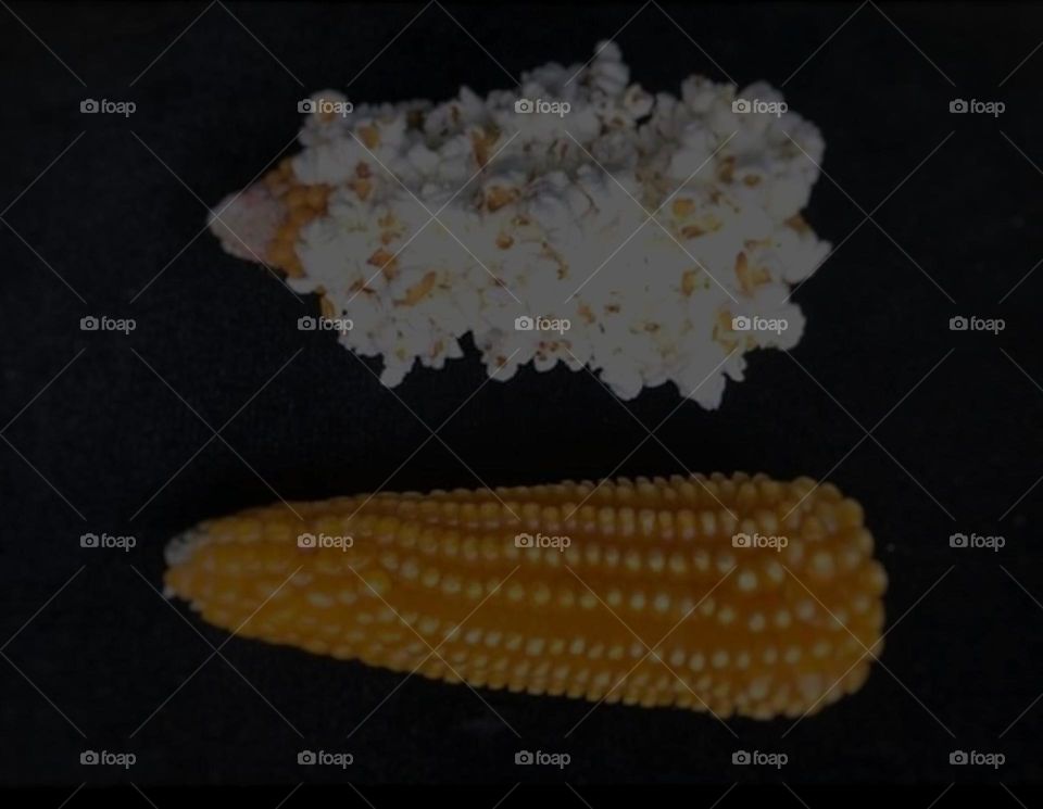 maiz /cotufas 🌾